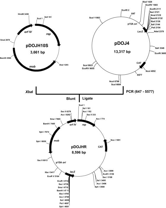 FIG. 7.