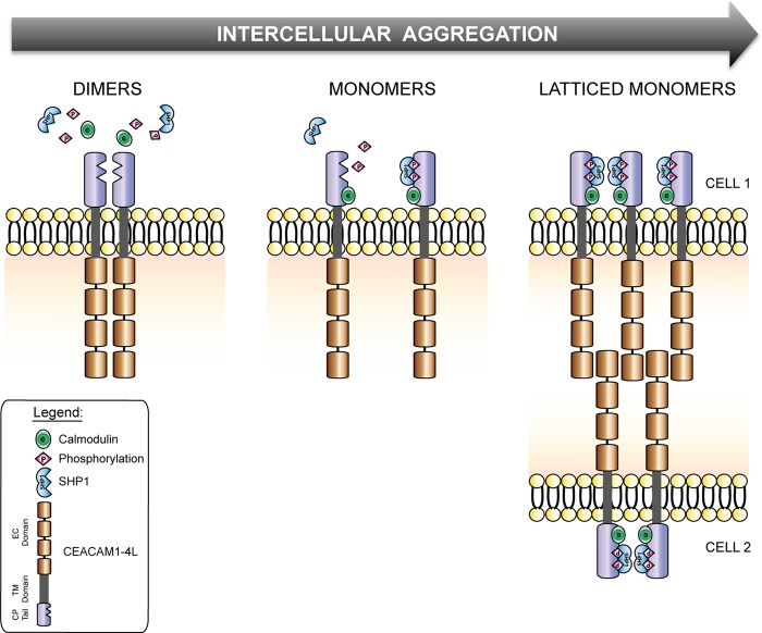 FIGURE 10.