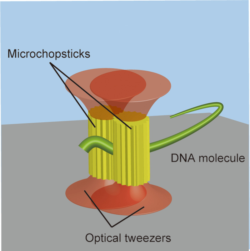 FIG. 1.