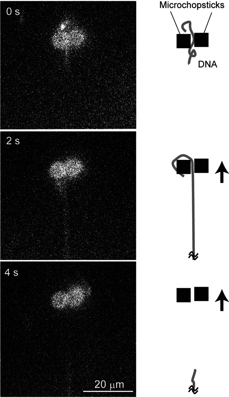 FIG. 6.