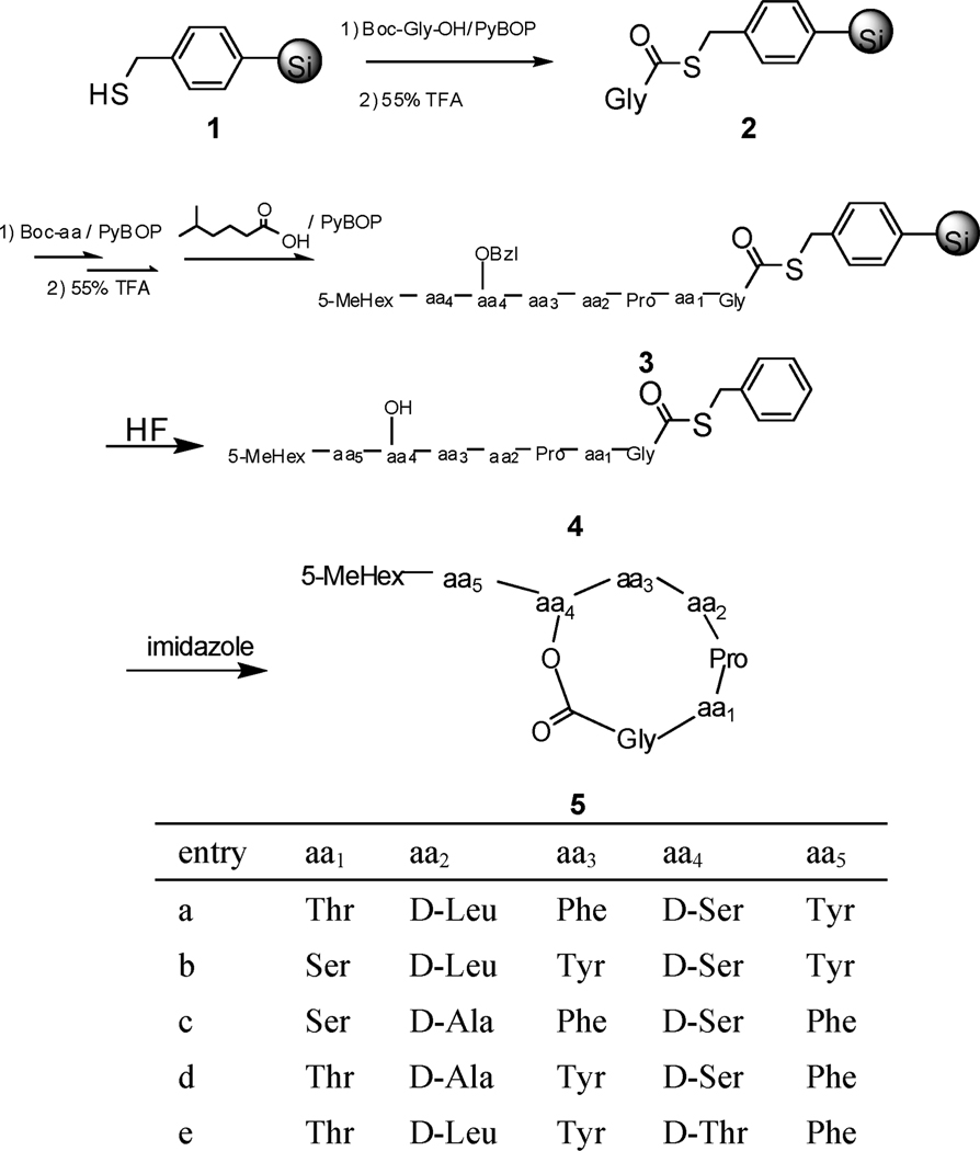 Scheme 1