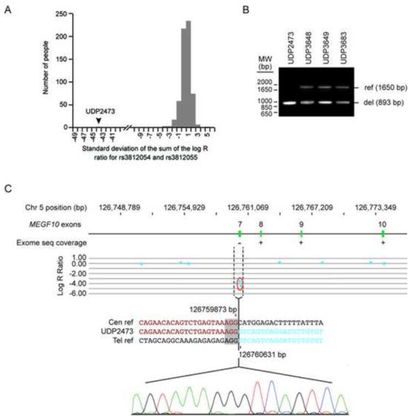 Fig. 3