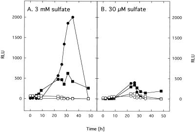 FIG. 4