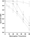 FIG. 2.