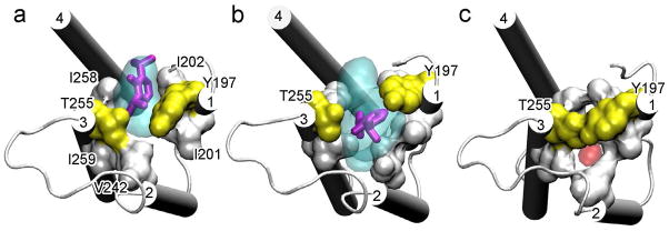 FIGURE 4