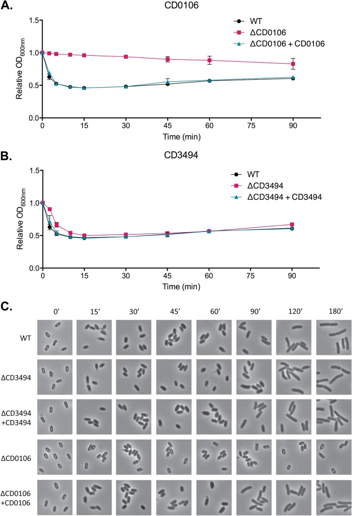 FIG 4 