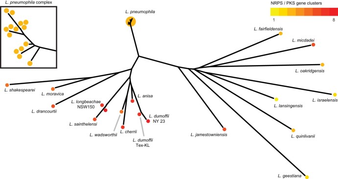 Fig. 1