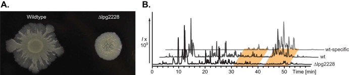 Fig. 3