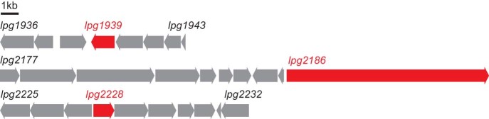 Fig. 2