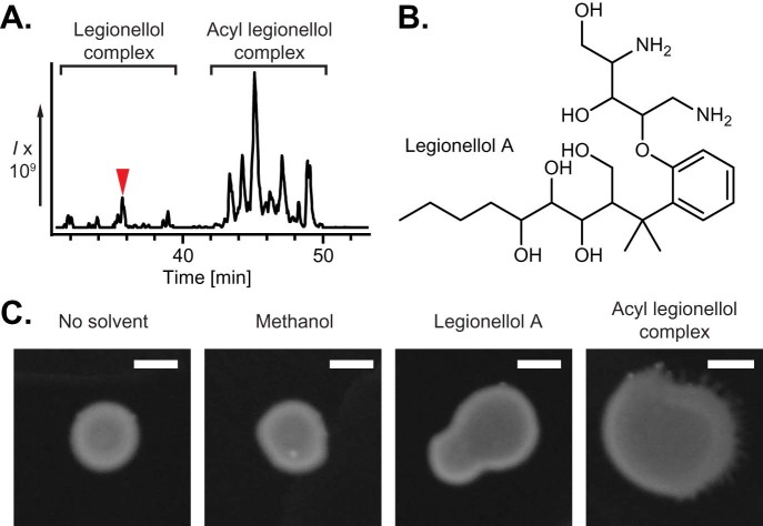 Fig. 4