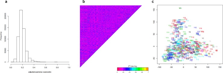 Fig 2