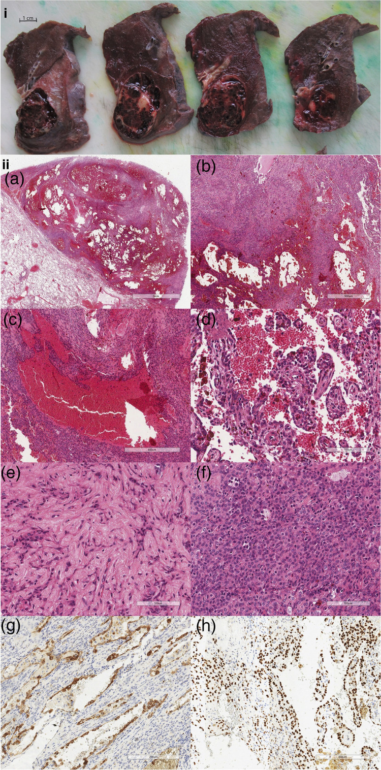 Figure 2.