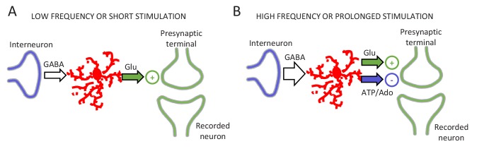 Figure 7.