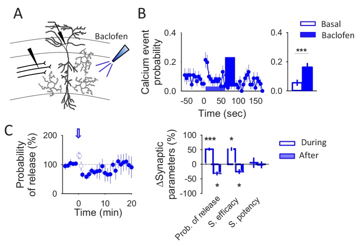 Figure 3—figure supplement 1.