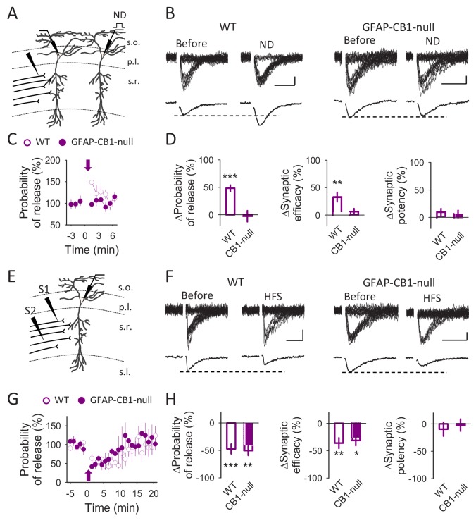 Figure 2—figure supplement 1.