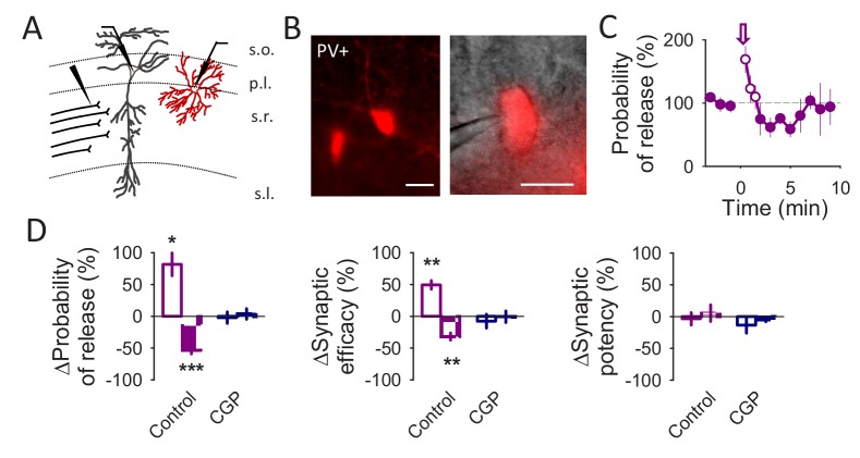 Figure 3—figure supplement 3.