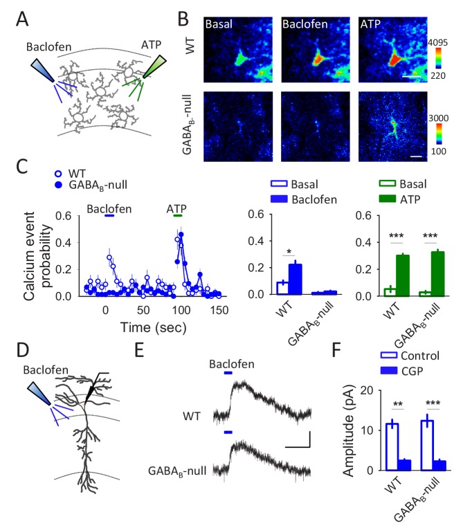 Figure 3—figure supplement 2.