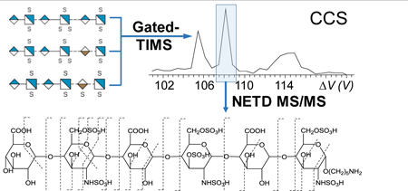 graphic file with name nihms-1014809-f0006.jpg