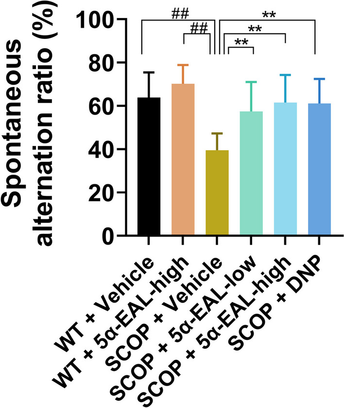 Fig. 7