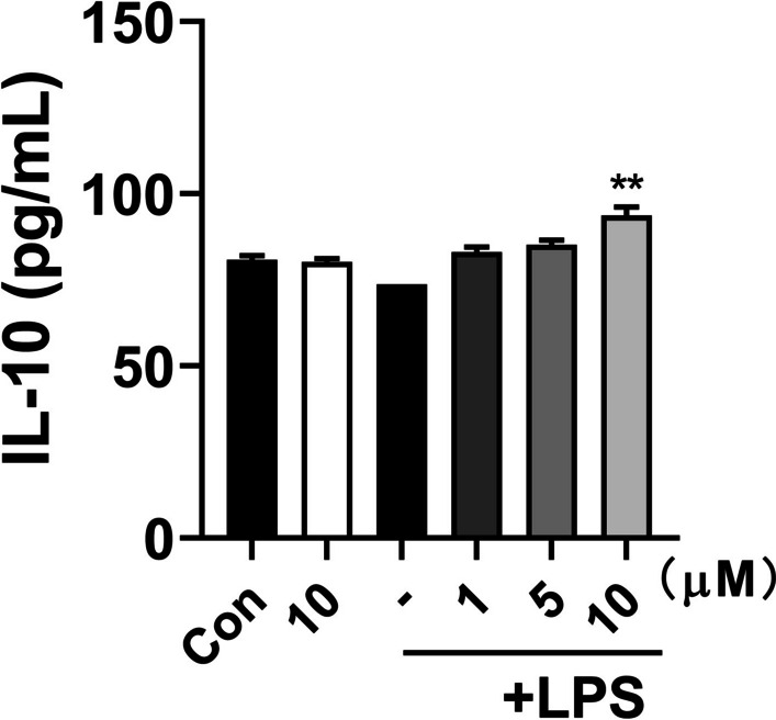 Fig. 4