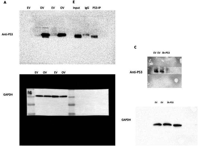 figs10