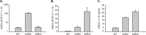 FIGURE 4.