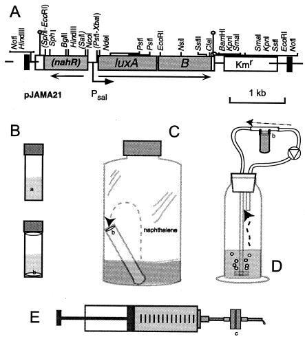 FIG. 1.