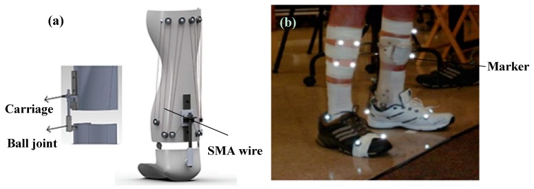 Figure 21