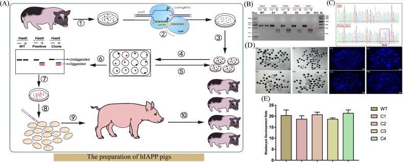 Fig. 3