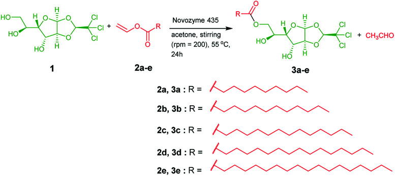 Scheme 1