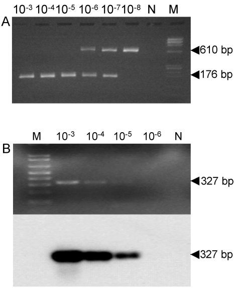 FIG. 1.