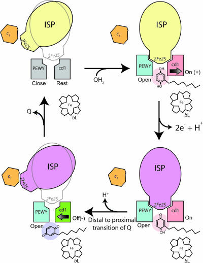 Fig. 3.