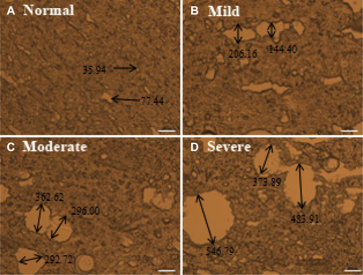 Figure 3