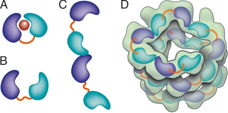 Fig. 4.