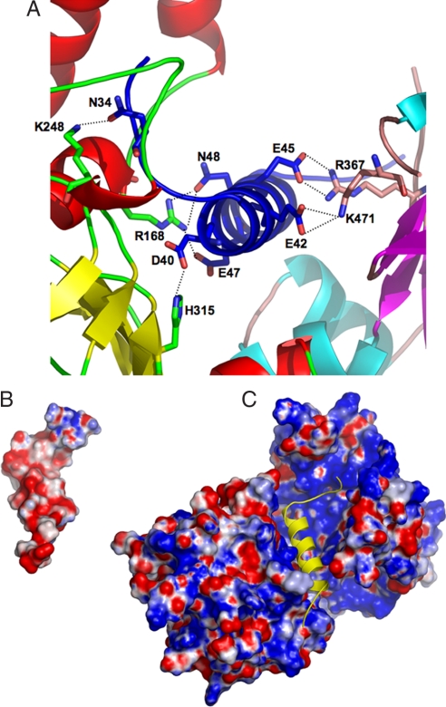 Fig. 2.