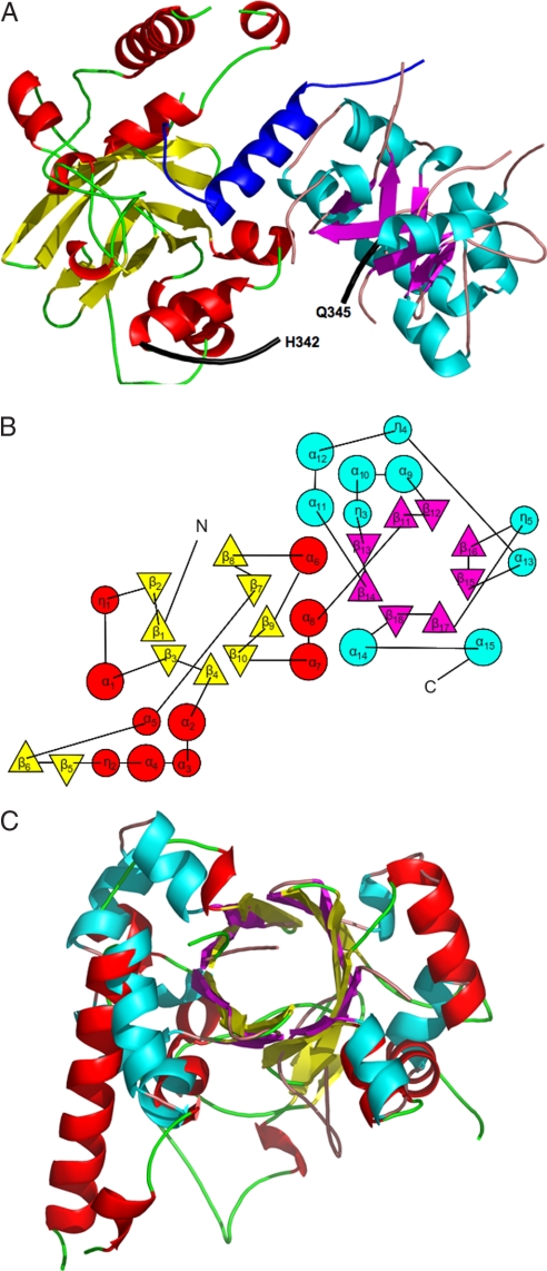 Fig. 1.