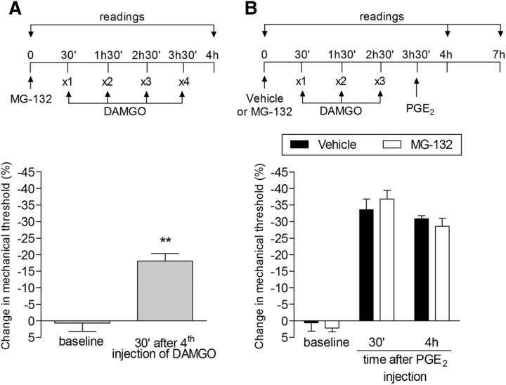 Figure 13.