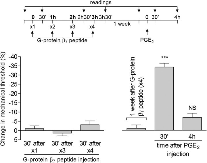 Figure 11.