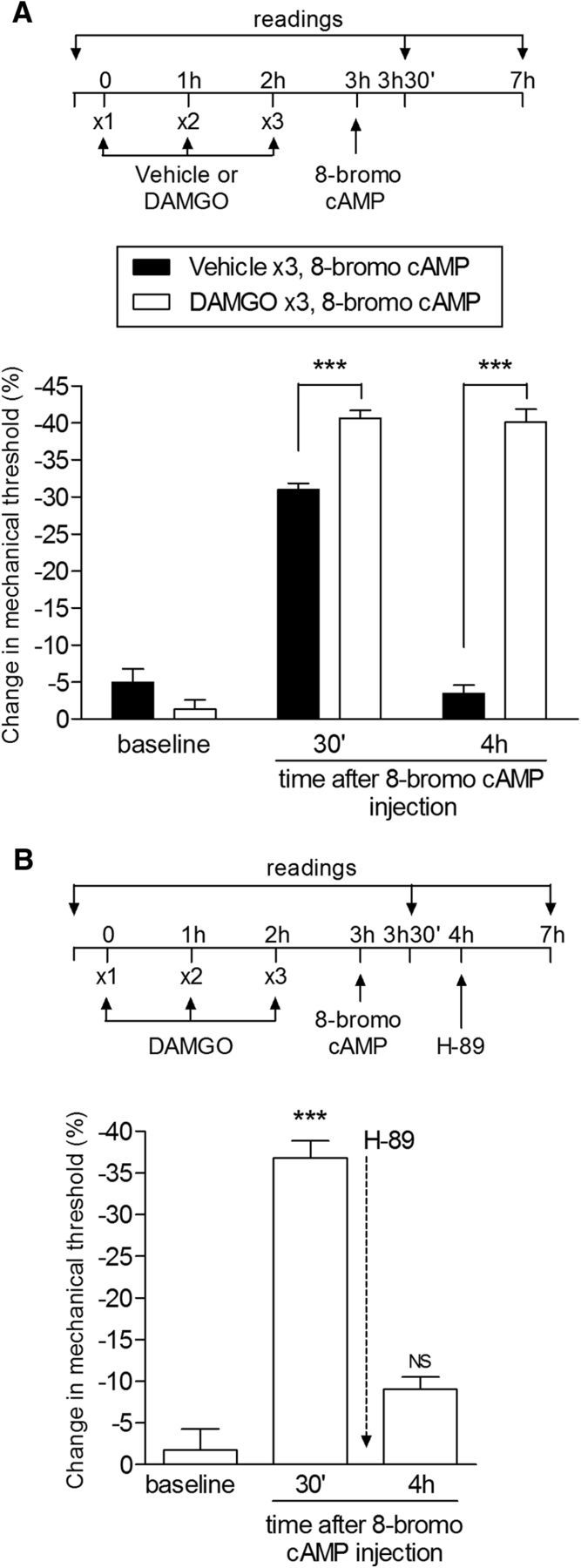 Figure 12.