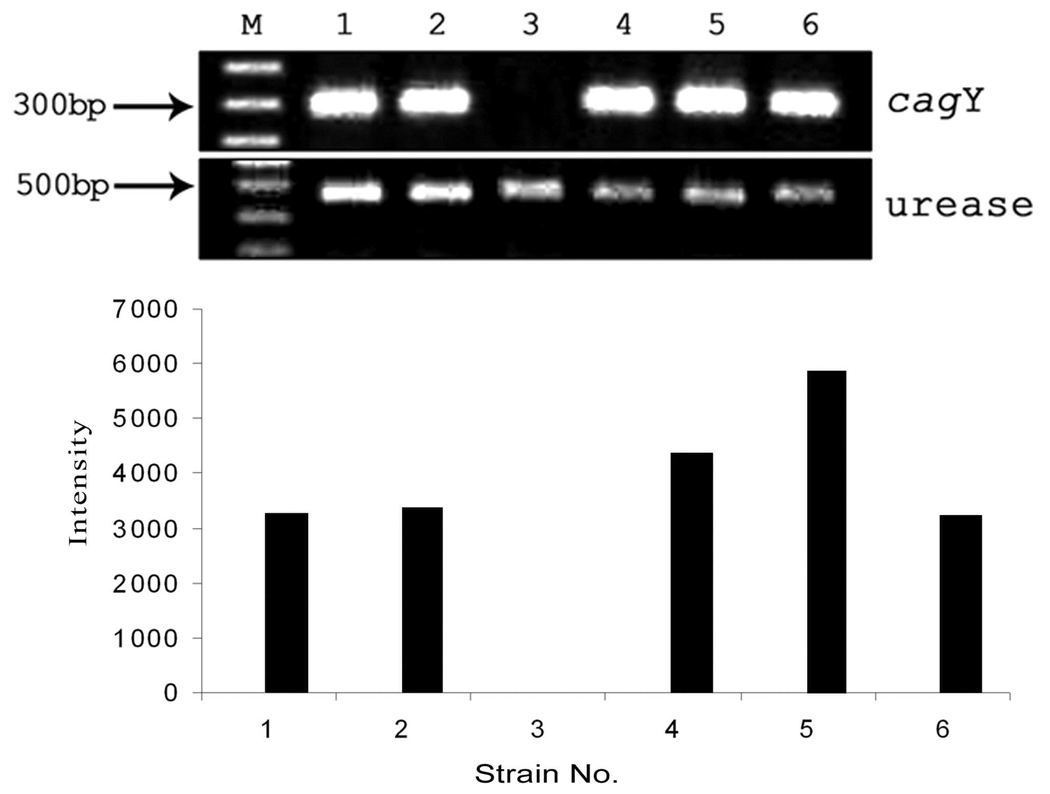 Fig. 6