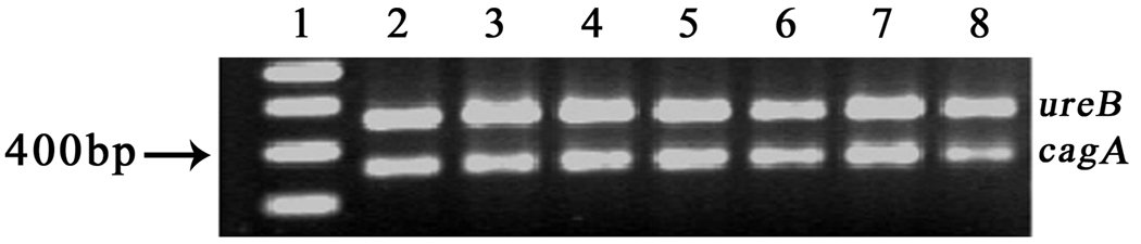 Fig. 8