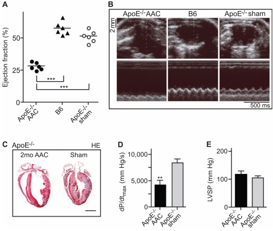 Fig. (2)