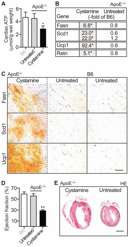 Fig. (7)