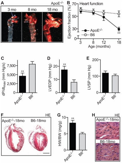 Fig. (3)