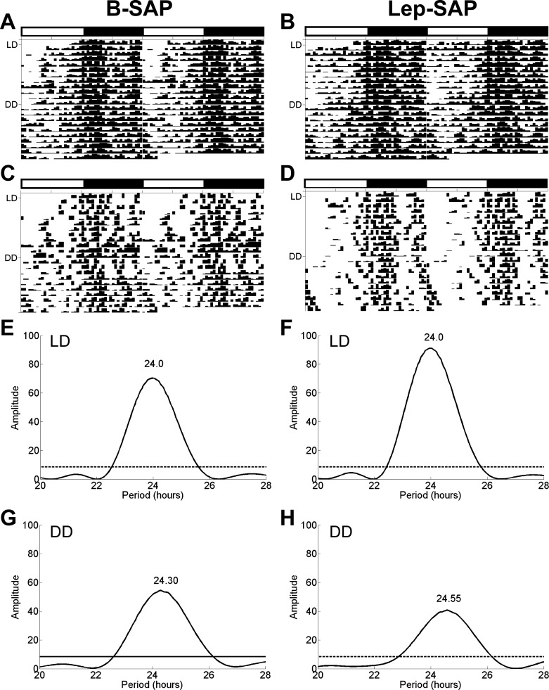 Fig. 8.