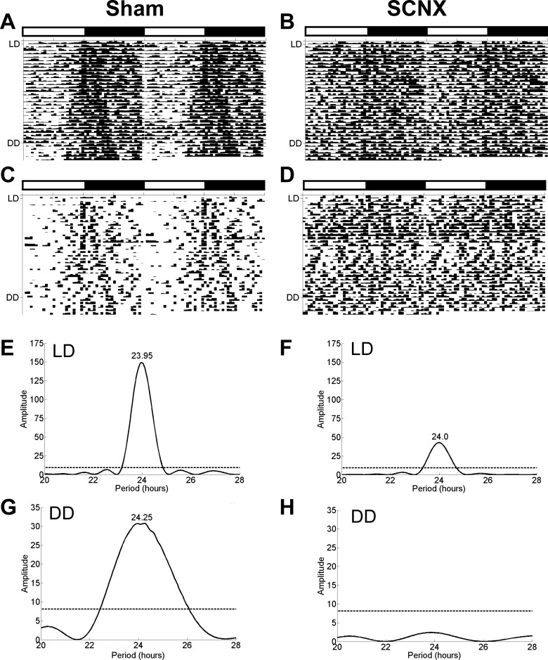 Fig. 9.