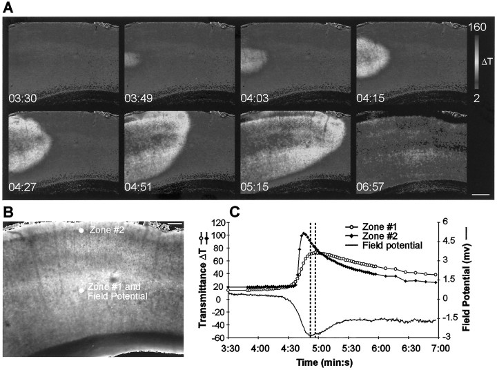 Fig. 4.