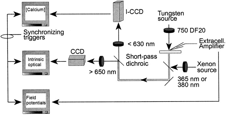 Fig. 1.