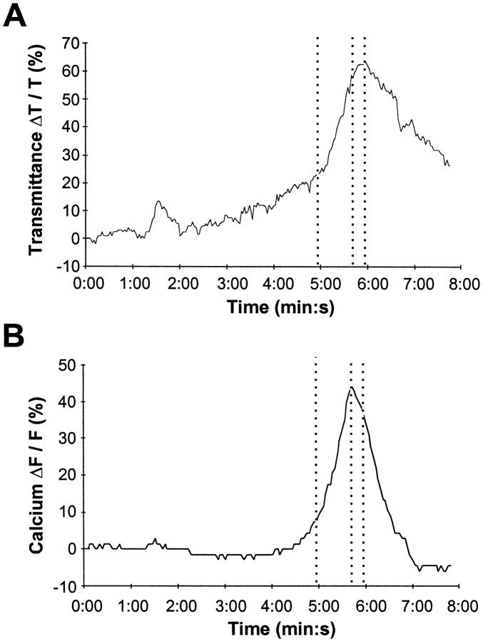 Fig. 7.