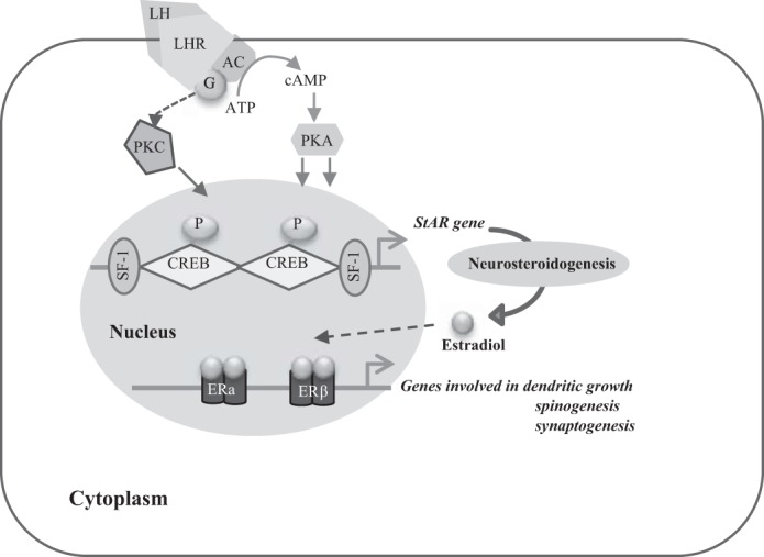 Fig. 1.